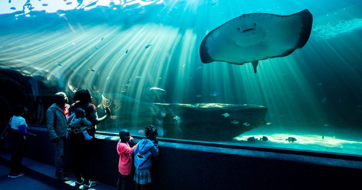 Two Oceans Aquarium, Cape Town